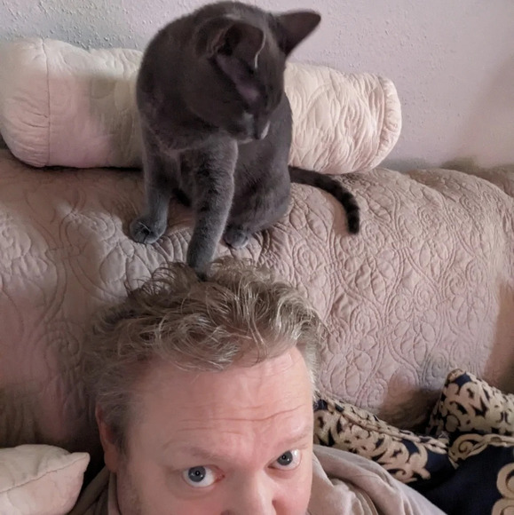 "life is better with a lot of cats" wooden sign, Wall decor picture feline - Picture 4 of 4